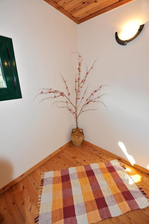 Pieros Studios Lisipios Palaiokastritsa Esterno foto